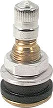 Load image into Gallery viewer, Allstar Performance Brass Valve Stems Bolt In 10pk
