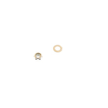 Load image into Gallery viewer, Photo - Unmounted