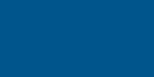 Load image into Gallery viewer, Allstar Performance 4x8 Plastic Chevron Blue .100in
