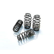 Load image into Gallery viewer, Eibach Springs Pro-Kit 06-08 Dodge Charger