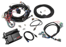 Load image into Gallery viewer, Holley ECU &amp; Wiring Harness LS2
