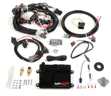 Load image into Gallery viewer, Holley HP ECU &amp; Harness MPFI - NTK