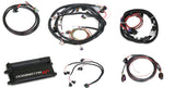 Holley Dominator EFI Kit - LS2 w/Trans Contr & DBW