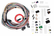 Load image into Gallery viewer, Holley Main Harness - Univesal Un-Terminated