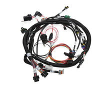 Load image into Gallery viewer, Holley Universal MPFI Coil On Plug Main Harness