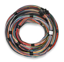 Load image into Gallery viewer, Holley Flying Lead Main Harness