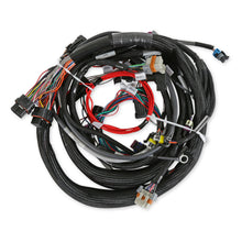 Load image into Gallery viewer, Holley Engine Main Harness GM LS Extended Length 24x