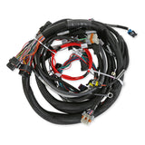 Holley Engine Main Harness GM LS Extended Length 24x