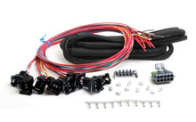 Load image into Gallery viewer, Holley EFI Injector Harness - Universal Unterminated