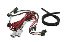 Load image into Gallery viewer, Holley Coil-Near-Plug Sub Harness - Big Wire