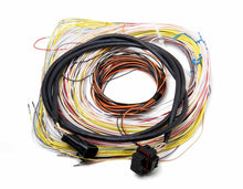 Load image into Gallery viewer, Holley Auxiliary Harness J2A Connector
