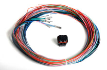 Load image into Gallery viewer, Holley J2B Auxiliary Harness Kit