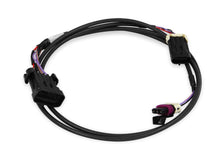 Load image into Gallery viewer, Holley Crank/Cam Ignition Harness